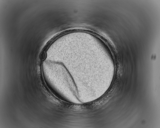 X0000099941360200806201110