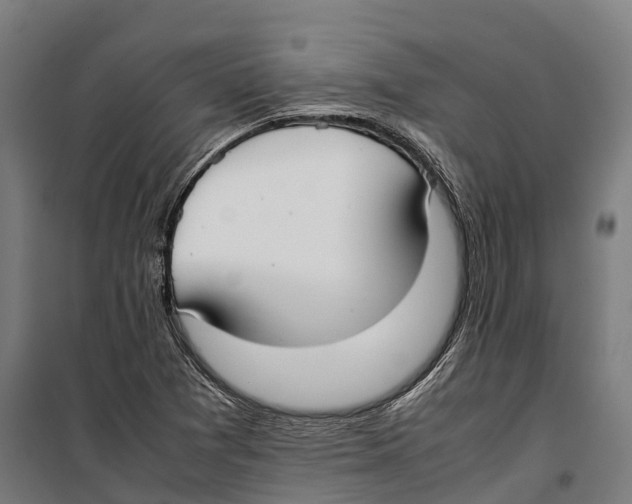 X0000099941361200806201110