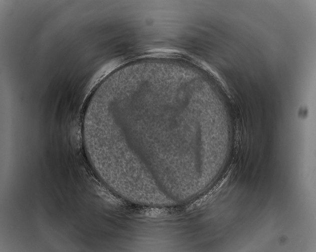 X0000099941362200806201110