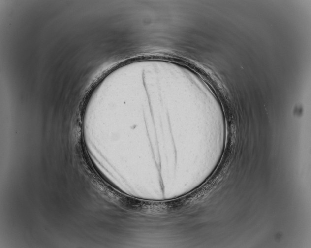 X0000099941363200806201110