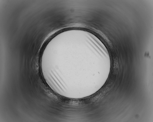 X0000099941364200806201110