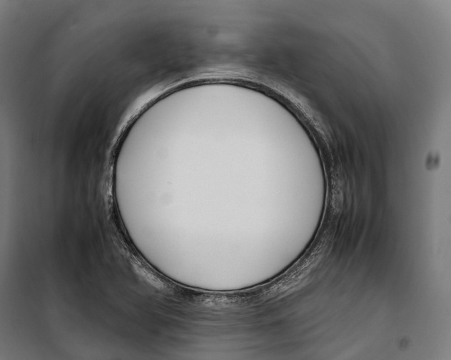 X0000099941366200806201110