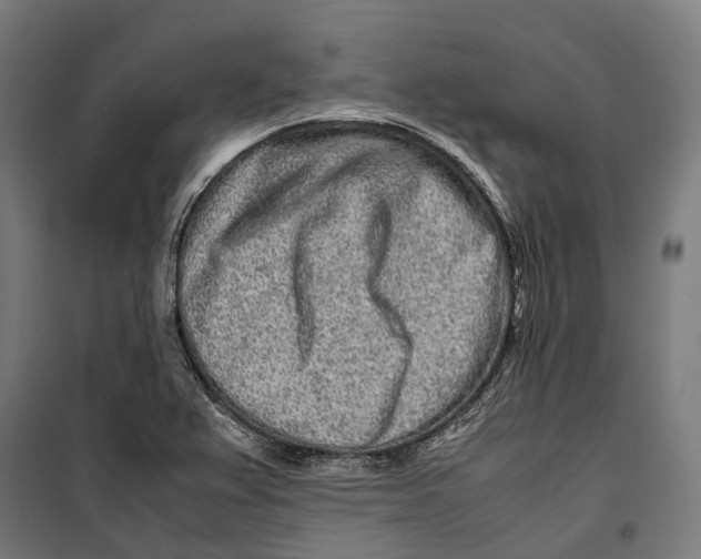 X0000099941367200806201110