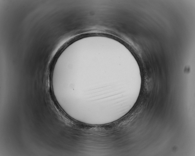 X0000099941368200806201110
