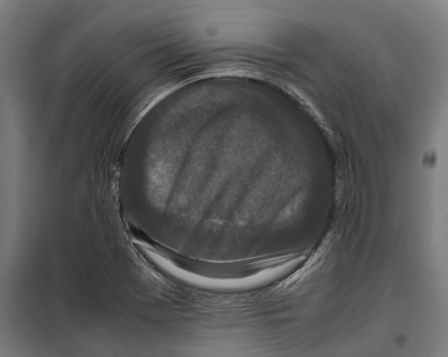 X0000099941369200806201110