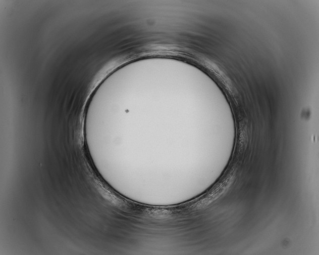 X0000099941370200806201110