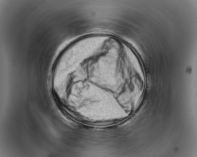 X0000099941371200806201110