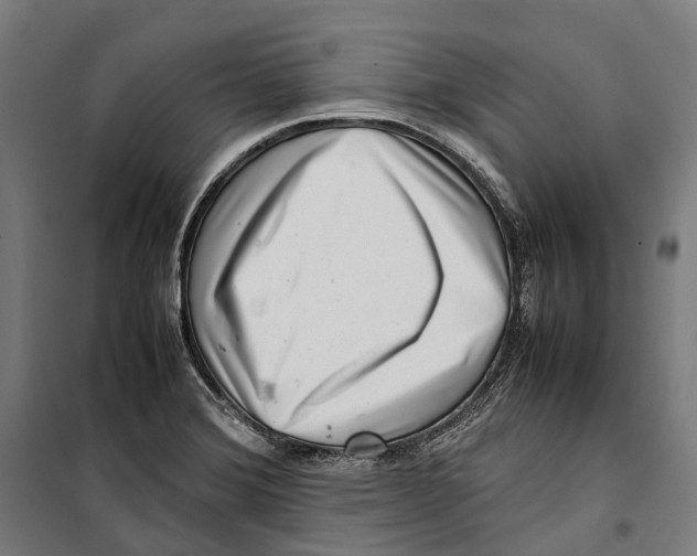 X0000099941372200806201110