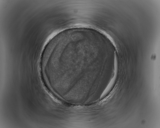 X0000099941373200806201110