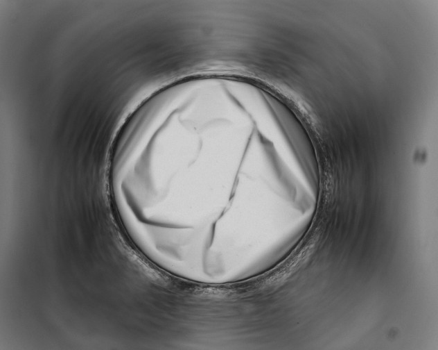 X0000099941374200806201110
