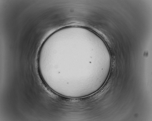 X0000099941375200806201110