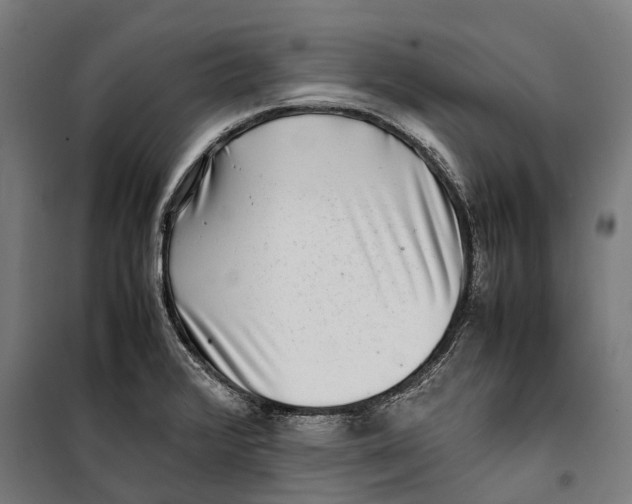 X0000099941376200806201110
