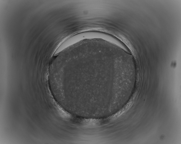 X0000099941377200806201110