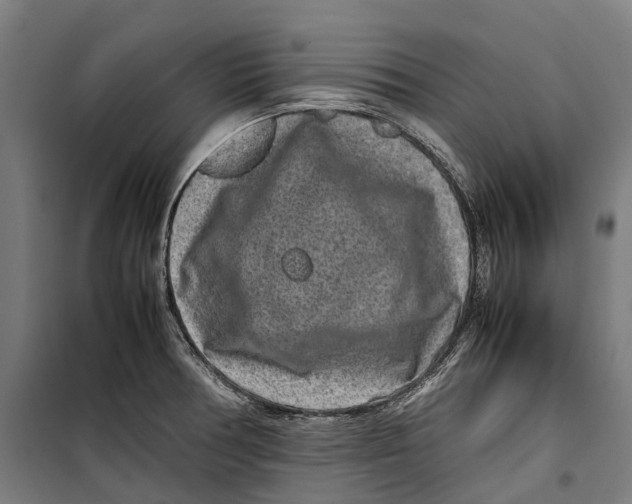 X0000099941378200806201110