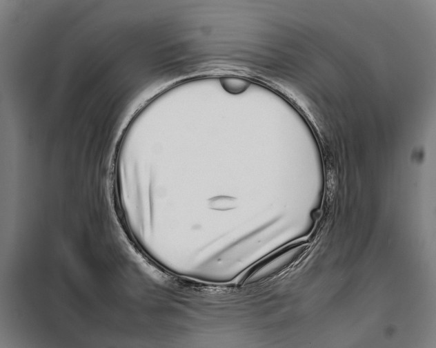 X0000099941379200806201110