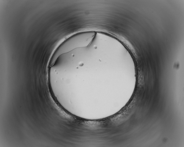 X0000099941380200806201110
