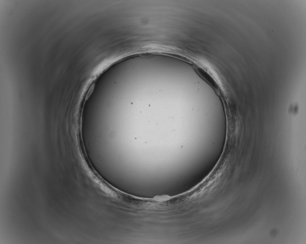 X0000099941381200806201110