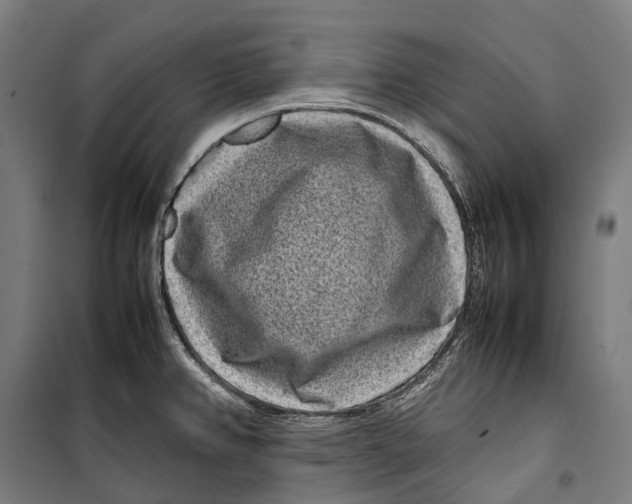 X0000099941382200806201110