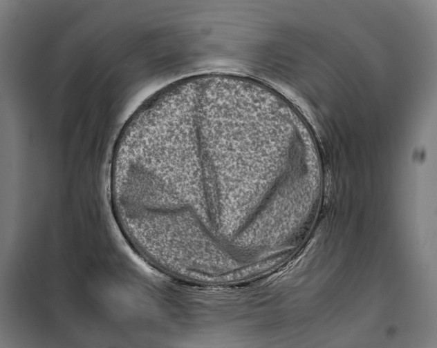 X0000099941383200806201110