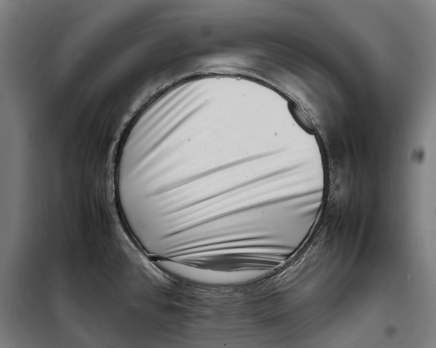 X0000099941384200806201110