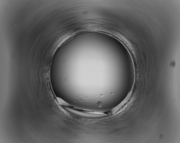 X0000099941385200806201110
