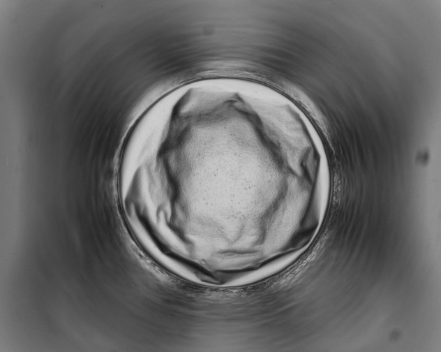 X0000099941386200806201110