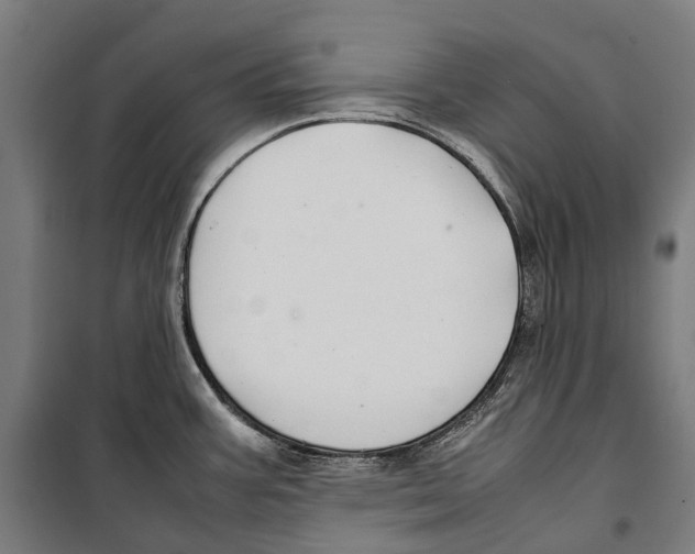 X0000099941387200806201110
