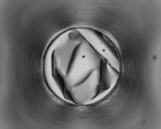 X0000099941388200806201110