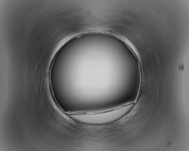 X0000099941389200806201110