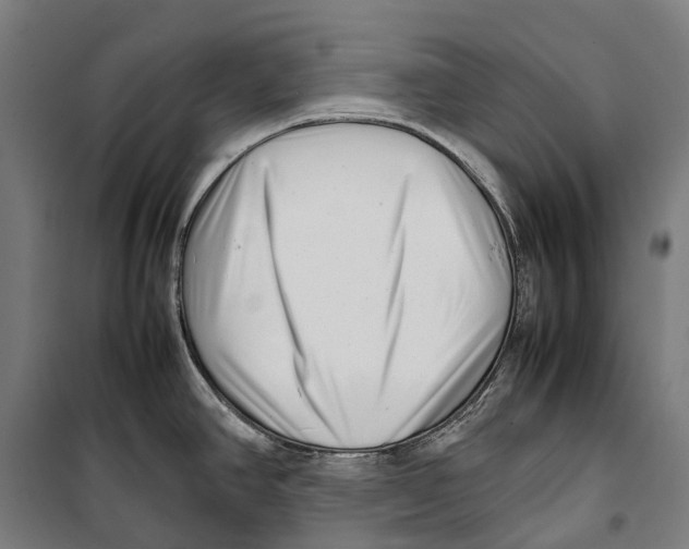 X0000099941390200806201110