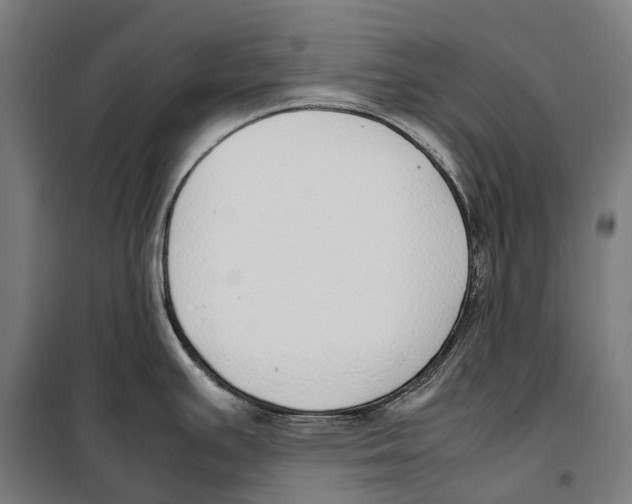 X0000099941391200806201110