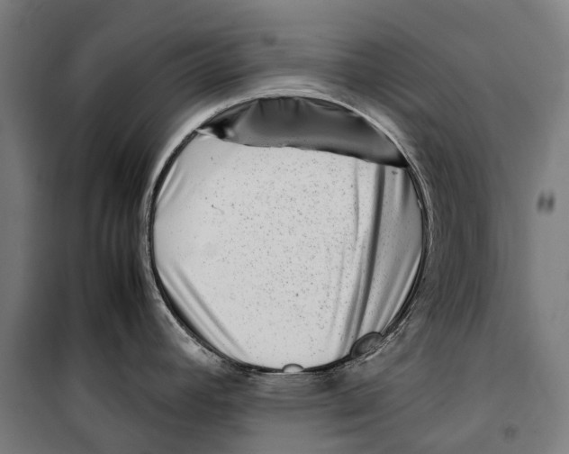 X0000099941392200806201110