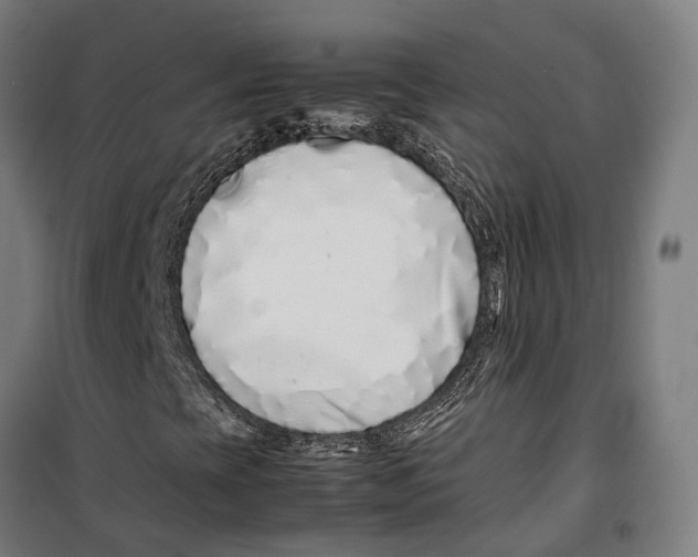 X0000099941393200806201109