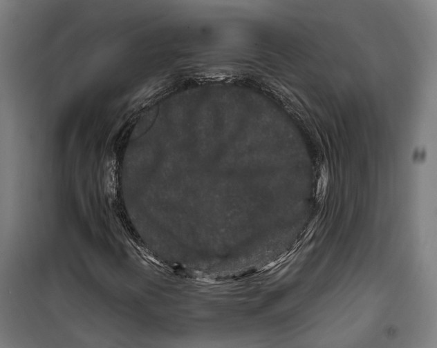 X0000099941394200806201109