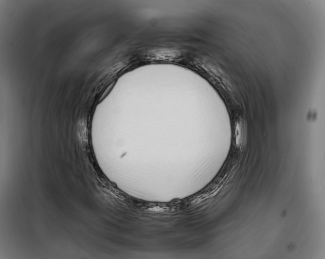 X0000099941395200806201109
