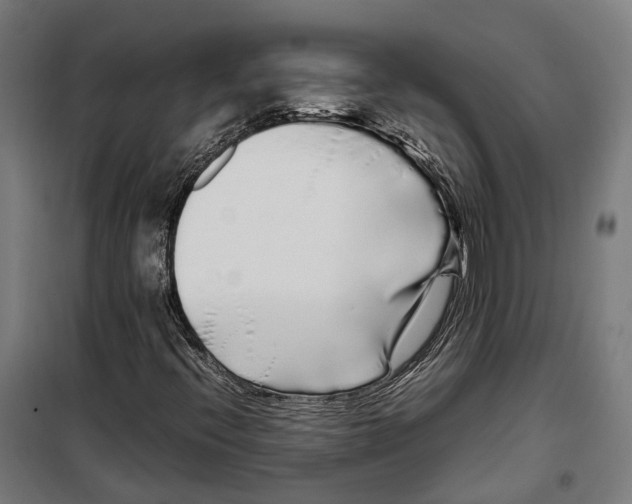 X0000099941396200806201109