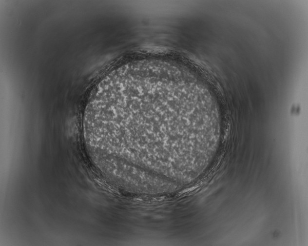 X0000099941397200806201109
