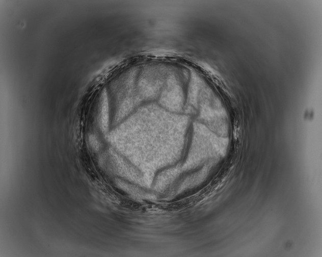 X0000099941398200806201109