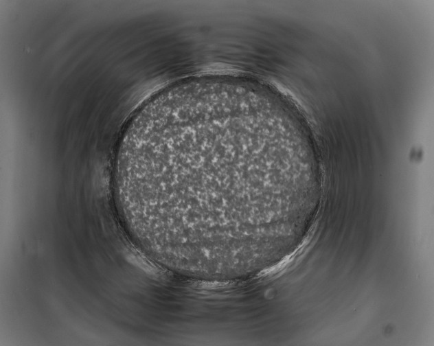 X0000099941401200806201109