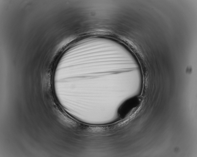 X0000099941402200806201109