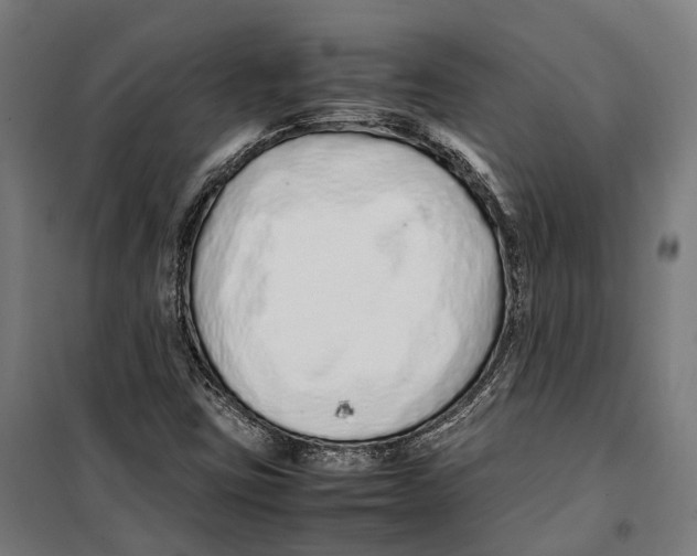 X0000099941403200806201109