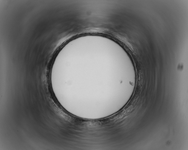 X0000099941404200806201109