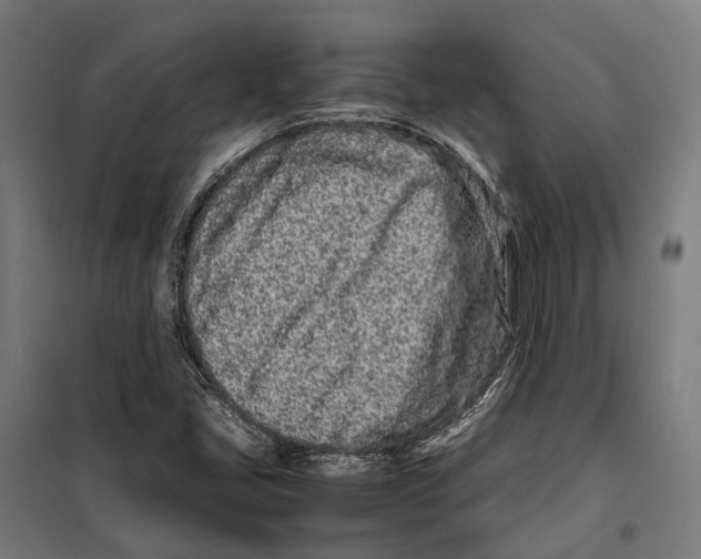 X0000099941405200806201109