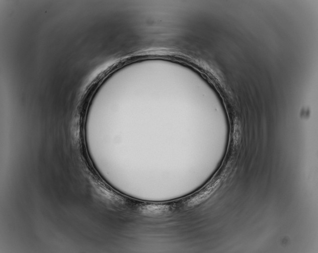 X0000099941406200806201109