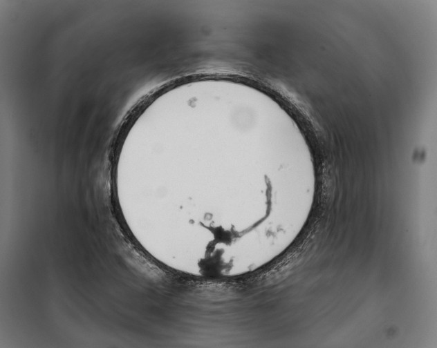 X0000099941408200806201109