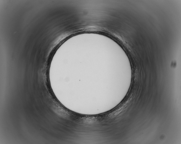 X0000099941410200806201109