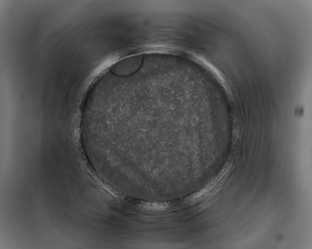 X0000099941411200806201109