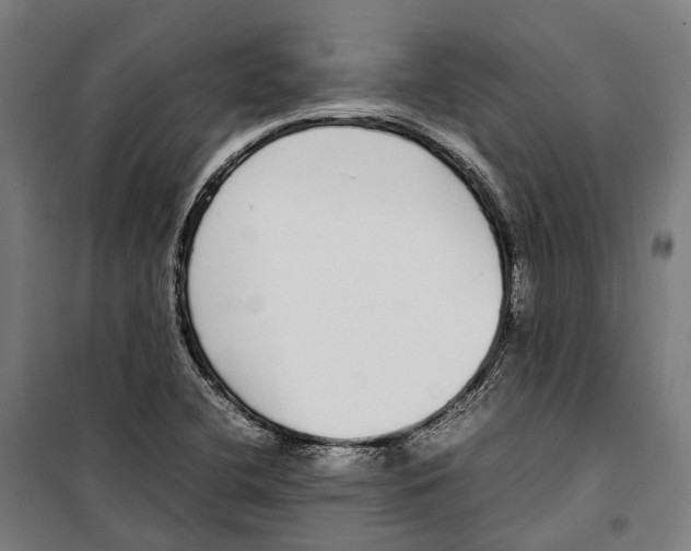 X0000099941412200806201109