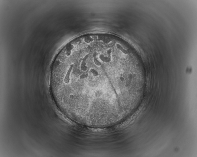 X0000099941413200806201110