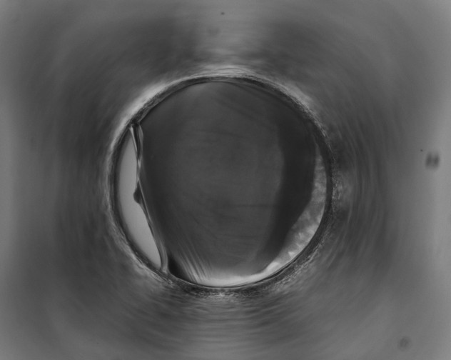 X0000099941414200806201110